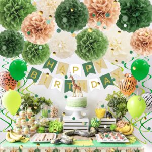 Green Birthday Decorations, Tissue Paper Pom Poms, Happy Birthday Banner, Paper Tassel, Circle Garland, Paper Confetti & Hanging Swirl for Party Decoration