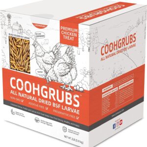 COOHGRUBS Premium Grade Dried Black Soldier Fly Larvae for Chickens and Other Poultry 2 lb. Box