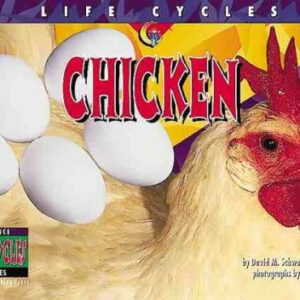 Chicken (Life Cycles)