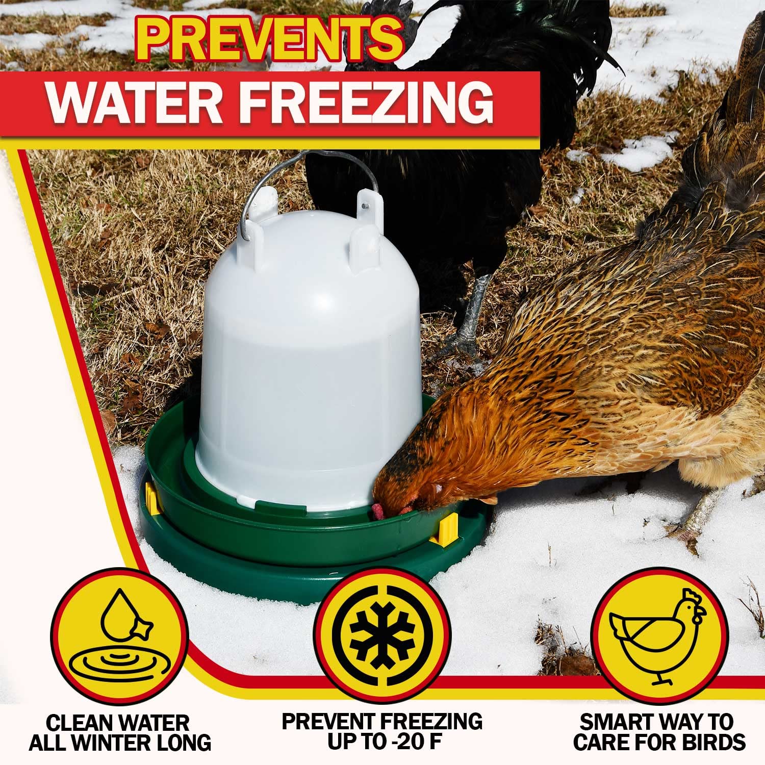 My Favorite Chicken Chicken Water Heater and Deicer - Electric Poultry Waterer for Winter - Portable Design, Freeze Proof Chicken Supplies for Outdoor Use - Water Heater and Warmer for Outside