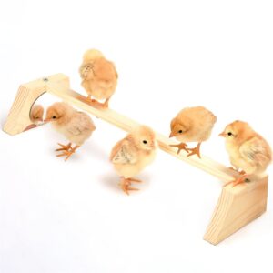 Chicken Perch for Brooder with Mirror S SANGLE SOPFFY Baby Chicken Supplies Chicken Toys Chick Jungle Gym Roosting Bar Coop and Brooder Training Chicken Stand Toy for Chicks Parrots Pets,Trapezoidal…