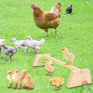 Chicken Perch for Brooder with Mirror S SANGLE SOPFFY Baby Chicken Supplies Chicken Toys Chick Jungle Gym Roosting Bar Coop and Brooder Training Chicken Stand Toy for Chicks Parrots Pets,Trapezoidal…