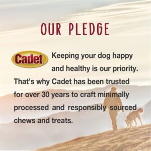 Cadet Gourmet Twists Sticks- Long Lasting & Natural Dog Treats for Large & Small Dogs Pork Hide & Chicken - Inspected & Tested in USA (22 Count)