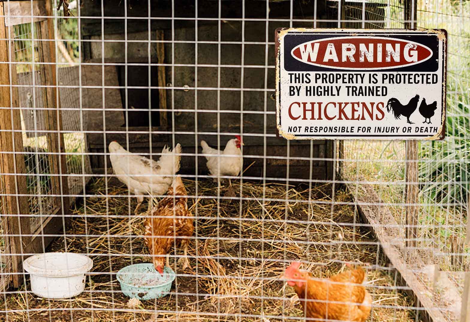 Bestylez Funny Chicken Coop Warning Sign Outdoor Chicken House Decor Gifts For Chicken Lovers 12" * 8" (219)