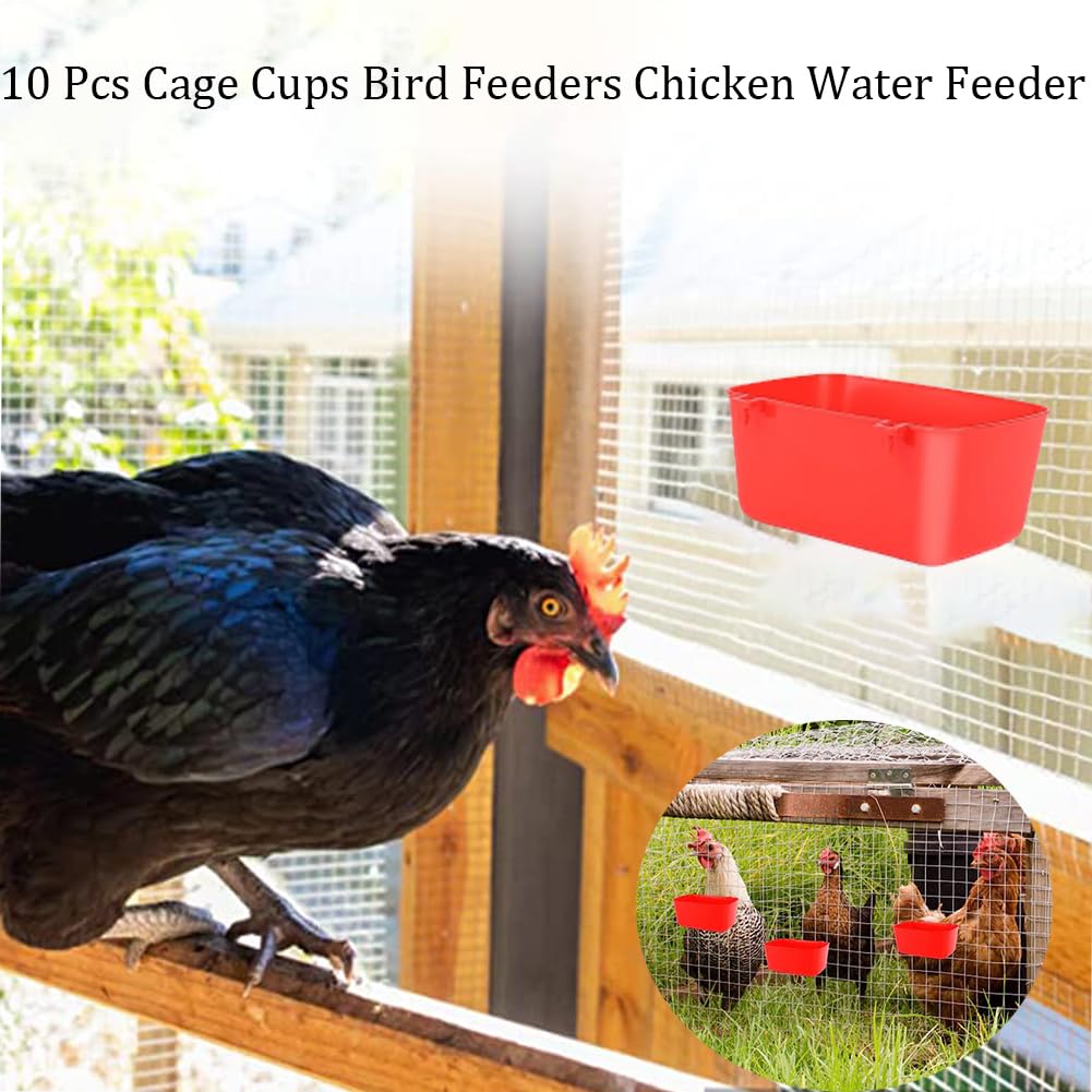 10 Pack Square Cage Cups Birds Feeders,Hanging Bird Chicken Feeder Waterer Cups,Plastic Drinker Quail Cage Waterer,Feeding Bowl for Rabbit Pigeon Parrot Parakeet Gamefowl,Red