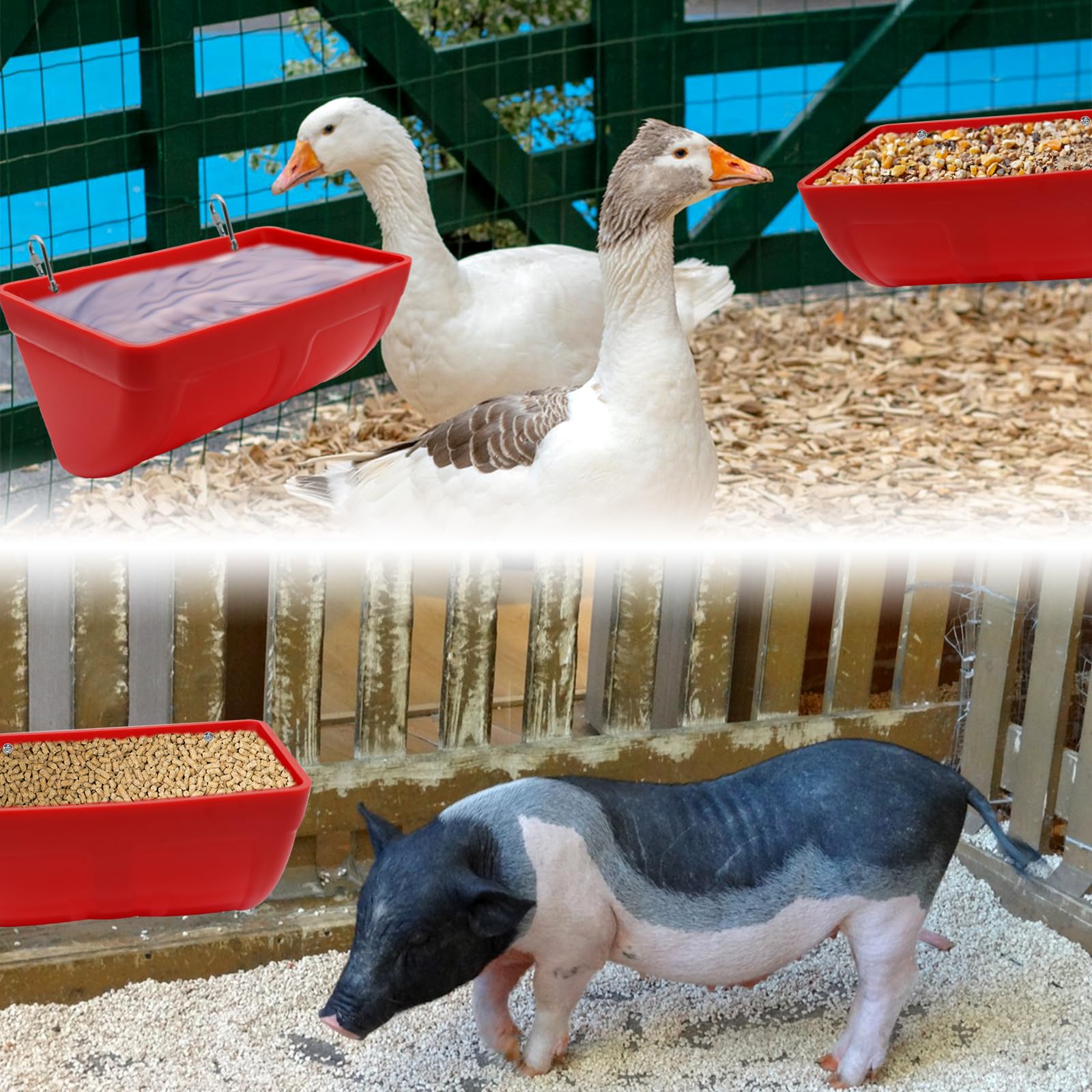 2 Pack Chicken Feeder Feed Trough with Clips Hanging Fence Feeder for Goat Chicken Duck Goose Deer Sheep Piglets Poultry Waterer Bucket Feeding Container for Livestock Goat Feeder Supplies (Red)