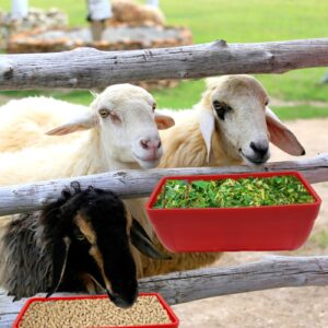 2 Pack Chicken Feeder Feed Trough with Clips Hanging Fence Feeder for Goat Chicken Duck Goose Deer Sheep Piglets Poultry Waterer Bucket Feeding Container for Livestock Goat Feeder Supplies (Red)