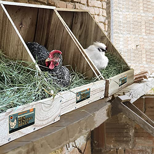 Single Compartment Hens Nesting Box, Chicken Coop Accessories, Wood Nesting Boxes for Up to 5 Hens, Big Duty Laying Nest Box for Duck and Poultry(1 pack)