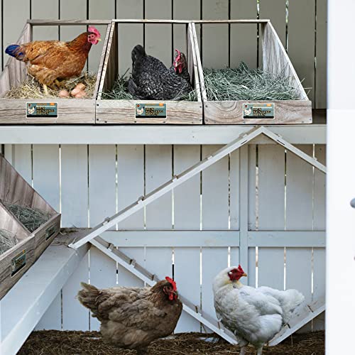 Single Compartment Hens Nesting Box, Chicken Coop Accessories, Wood Nesting Boxes for Up to 5 Hens, Big Duty Laying Nest Box for Duck and Poultry(1 pack)