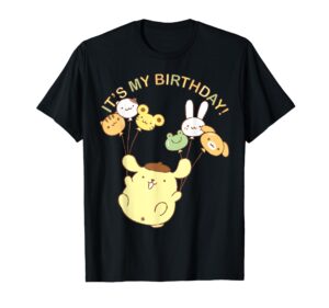 pompompurin its my birthday t-shirt