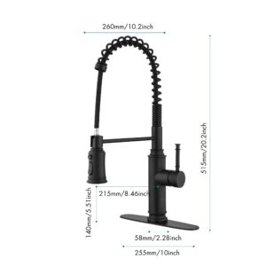 Touch Kitchen Faucet with Pull Down Sprayer, Kitchen Sink Faucets with Pullout Sprayer, Touchless Kitchen Faucet, Stainless Steel Faucets