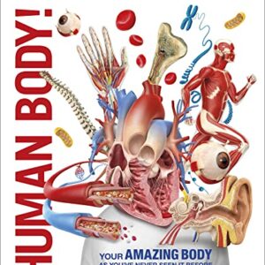 Knowledge Encyclopedia Human Body! (DK Knowledge Encyclopedias)