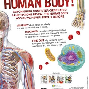 Knowledge Encyclopedia Human Body! (DK Knowledge Encyclopedias)