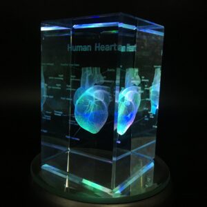 3D Human Heart Anatomical Model Paperweight(Laser Etched) in Crystal Glass Cube Science Gift (No Included LED Base)(3.1x2x2 inch)