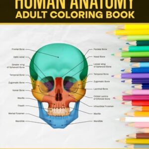 Human Anatomy Adult Coloring Book: Comprehensive Guide for Adult Learners, Nurses, Medical Students and Healthcare Students - Master A&P with Effective and Fun Detailed Self-Assessment Exercises