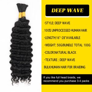 22 Inch Human Hair Braiding Hair Human Braiding Hair Wet and Wavy Braiding Hair Human Hair for Braiding Deep Wave Bulk Human Hair Curly Extension 100g