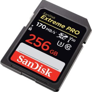 SanDisk 256GB SDXC Extreme Pro Memory Card Works with Canon Mirrorless Camera EOS R50, EOS R8 (SDSDXXY-256G-GN4IN) V30 4k Class 10 UHS-I Bundle with 1 Everything But Stromboli MicroSD & SD Card Reader