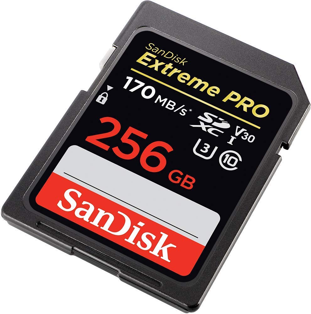 SanDisk 256GB SDXC Extreme Pro Memory Card Works with Canon Mirrorless Camera EOS R50, EOS R8 (SDSDXXY-256G-GN4IN) V30 4k Class 10 UHS-I Bundle with 1 Everything But Stromboli MicroSD & SD Card Reader