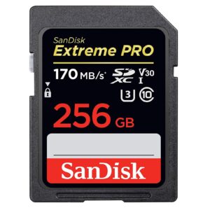 SanDisk 256GB SDXC Extreme Pro Memory Card Works with Canon Mirrorless Camera EOS R50, EOS R8 (SDSDXXY-256G-GN4IN) V30 4k Class 10 UHS-I Bundle with 1 Everything But Stromboli MicroSD & SD Card Reader