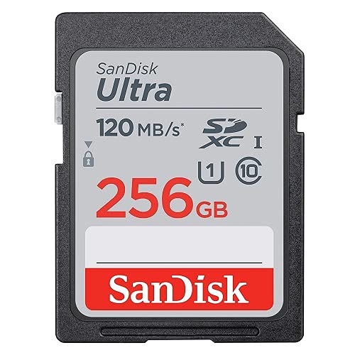 SanDisk SD Ultra Memory Card Works with Canon EOS M200, M100, M50, M5, M6 Mirrorless Camera (SDSDUN4-256G-GN6IN) Bundle with (1) Everything But Stromboli Micro Fiber Cloth (Class 10 256GB)