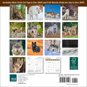 Wolves Mini Wall Calendar 2024, 7" x 7"