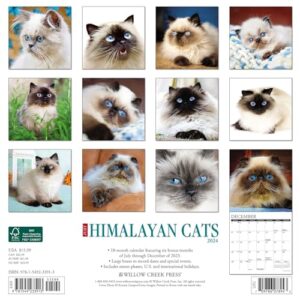 Willow Creek Press Himalayan Cats Monthly 2024 Wall Calendar (12" x 12")