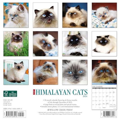 Willow Creek Press Himalayan Cats Monthly 2024 Wall Calendar (12" x 12")