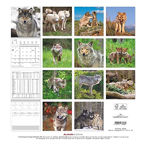 Wolves 2024 Brochure Calendar 30 x 30 cm (30 x 60 Open) Calendar with Space for Notes Wolves Picture Calendar Wall Planner Alpha Edition