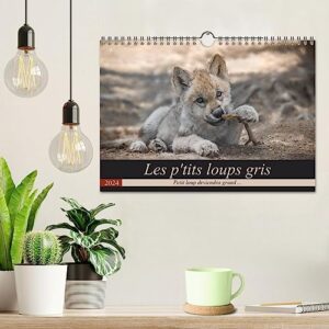 The little grey wolves (Wall Calendar 2024 DIN A4 Landscape), CALVENDO 12 Month Wall Calendar