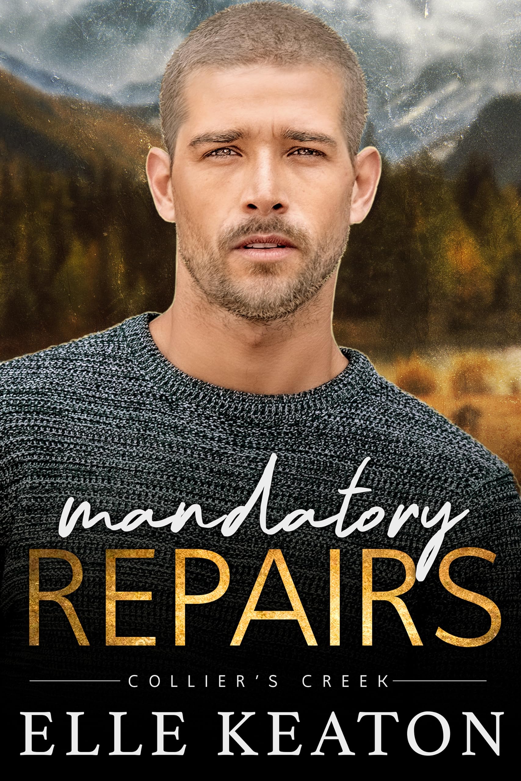 Mandatory Repairs: Small Town MM Romance