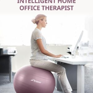 Trideer Yoga Ball - Exercise Ball for Workout pilates Stability - Anti-Burst and Slip Resistant for physical therapy, Birthing, Stretching & Core Workout, Office Ball Chair, Flexible Seating, Home Gym