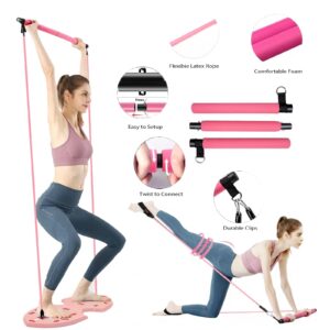 LALAHIGH Home Workout Equipment for Women, Multifunction Push Up Board, Portable Home Gym System with Resistance Bands,Ab Roller Wheel, and 20 Gym Accessories, Professional Strength Training Exercise