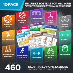 [12-PACK] Laminated Large Workout Poster Set - Perfect Workout Posters for Home Gym - Exercise Charts Incl. Dumbbell, Yoga Poses, Resistance Band, Kettlebell, Stretching & More Fitness Gym Posters