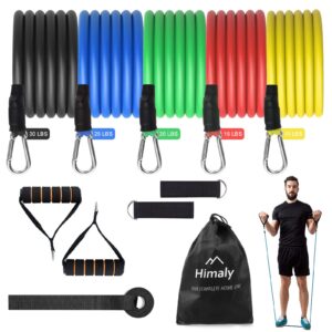 resistance bands set, himaly exercise bands workout bands with handles, door anchor, carry bag, legs ankle straps for strength training, exercise bands set for home gym outdoor