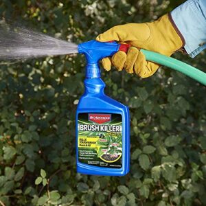 BioAdvanced Brush Killer Plus, Ready-to-Spray, 32 oz – Kills Tough Brush Roots & All, Kills Poison Ivy