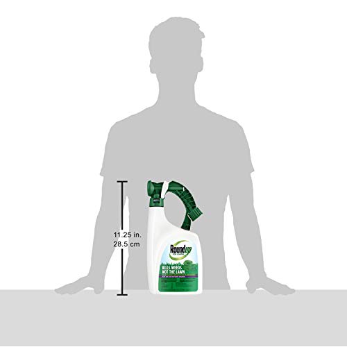 Roundup for Lawns 6 Ready-To-Spray (Southern), 32 oz.( Pack of 1 )