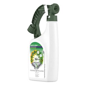 Roundup for Lawns 6 Ready-To-Spray (Southern), 32 oz.( Pack of 1 )