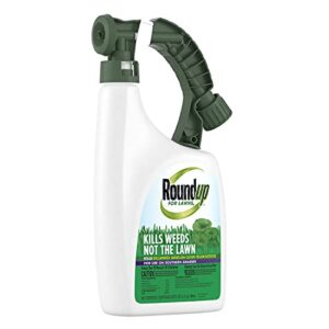 Roundup for Lawns 6 Ready-To-Spray (Southern), 32 oz.( Pack of 1 )