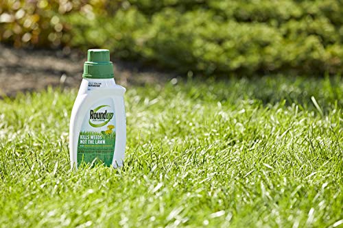 Roundup For Lawns2 Concentrate (Northern), 32 oz. - Lawn Safe Weed Killer for Northern Lawns, Kills Crabgrass, Dandelion, Clover and Yellow Nutsedge - Kills Weeds, Not the Lawn