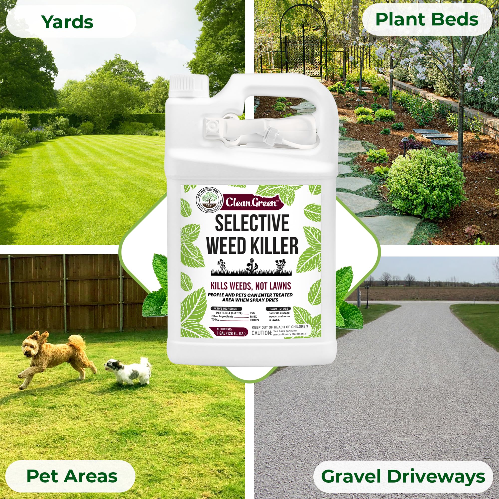 Mighty Mint Clean Green Selective Weed Killer for Lawns - Kills Weeds, Not Grass - 1 Gallon