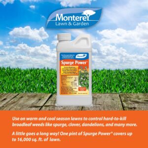 Monterey LG 5600 Spurge Power Herbicide, One Pint