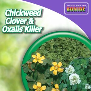 Bonide 1- Quart Chickweed Clover and Oxalis Weed Killer - 0612