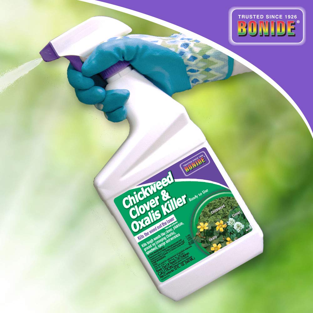 Bonide 1- Quart Chickweed Clover and Oxalis Weed Killer - 0612