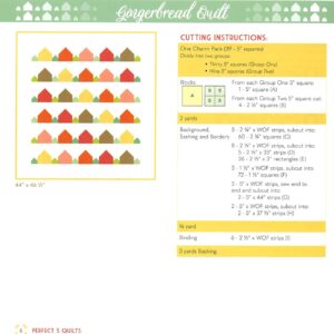 Creative Grids It's So Emma's Perfect 5 Quilts Book Perfect 5 Ruler (cgrPERF5) Bundle