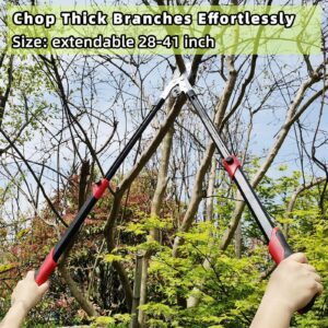 YRTSH Loppers Branch Cutter Tree Trimmer Extendable Lopper with Compound Action, Chop Thick Branches Effortlessly, 28"-41" Telescopic Heavy Duty Tree Clippers with 2 Inch Clean Cut Capacity