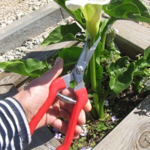 TABOR TOOLS K77A Straight Pruning Shears with Stainless Steel Blades, Florist Scissors, Multi-Tasking Garden Snips for Arranging Flowers, Trimming Plants, Harvesting Herbs, Fruits or Vegetables.