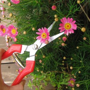 TABOR TOOLS K77A Straight Pruning Shears with Stainless Steel Blades, Florist Scissors, Multi-Tasking Garden Snips for Arranging Flowers, Trimming Plants, Harvesting Herbs, Fruits or Vegetables.