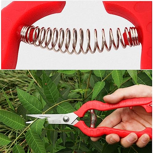 Stainless Steel Pruning Shears 7.8 inch Fruit Trees Bonsai Sharp Garden Scissors Tool