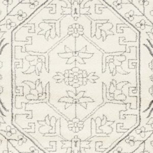 SAFAVIEH Adirondack Collection Area Rug - 9' x 12', Ivory & Silver, Oriental Medallion Design, Non-Shedding & Easy Care, Ideal for High Traffic Areas in Living Room, Bedroom (ADR108B)