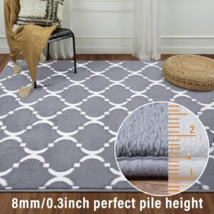 Comeet Modern Geometric Shag Area Rug for Bedroom, 6'x9' Memory Foam Floor Mat Washable Non-Slip Rug, Indoor Carpet for Living Room, Bedside, Office, Kids Nursery Dorm, Room Decor Grey/White